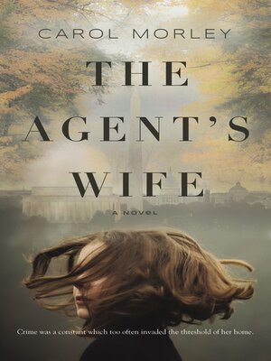 cover image of THE AGENT'S WIFE